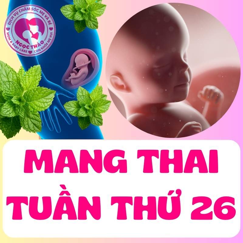 Mang thai tuần thứ 26 mẹ bầu và thai nhi phát triển vượt bậc